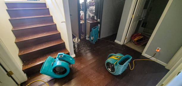 Best Sewage cleanup and water damage restoration  in Williams, OR