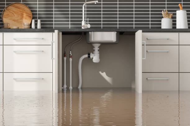 Best Flood restoration services  in Williams, OR